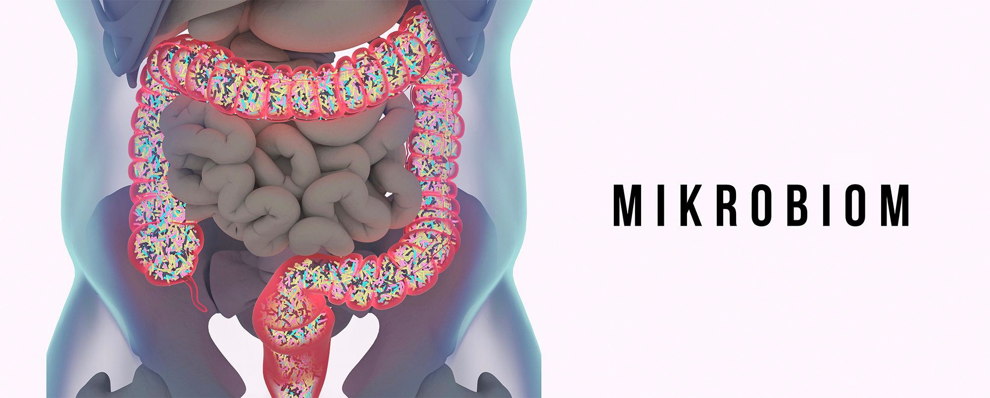 mikrobiom